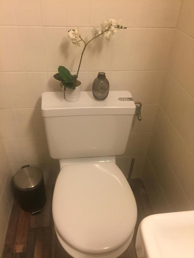 Petit Appart De Charme Eau Chaude Solaire Renovation 2021 Wifi Disponible Belvedere 5 Saint-Luc Eksteriør bilde