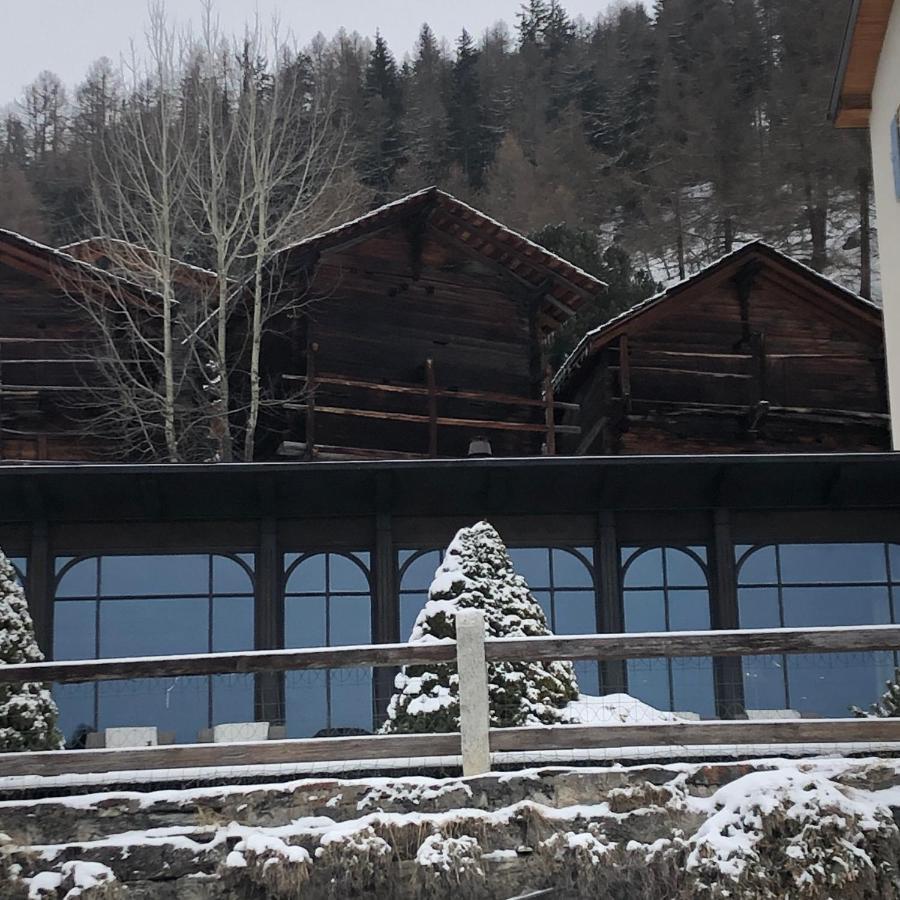 Petit Appart De Charme Eau Chaude Solaire Renovation 2021 Wifi Disponible Belvedere 5 Saint-Luc Eksteriør bilde